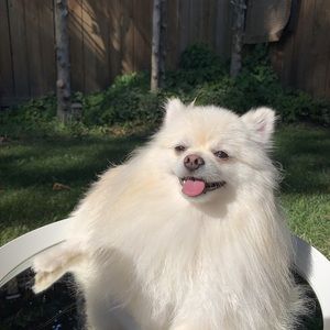 Meet your Posher, Maria